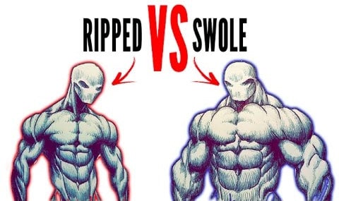 ripped vs swole
