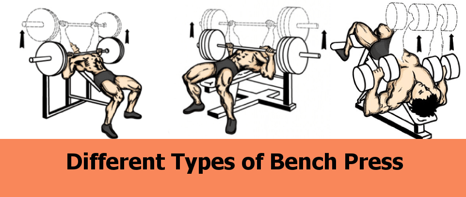 Different Types of Bench Press