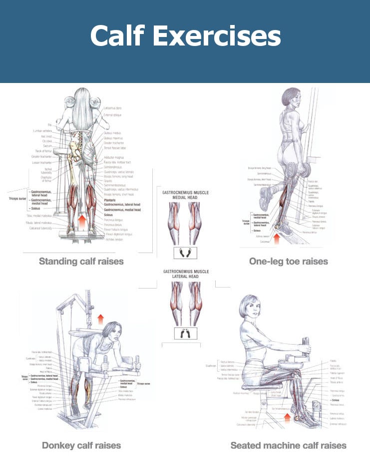 calf workout for mass 