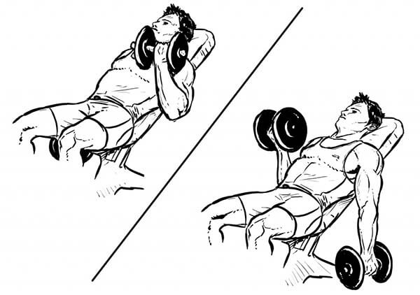 bicep long head and short head exercises