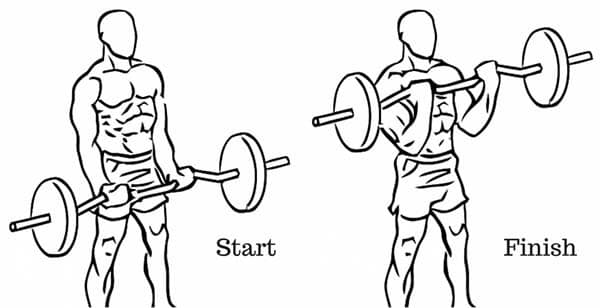 bicep long head and short head exercises