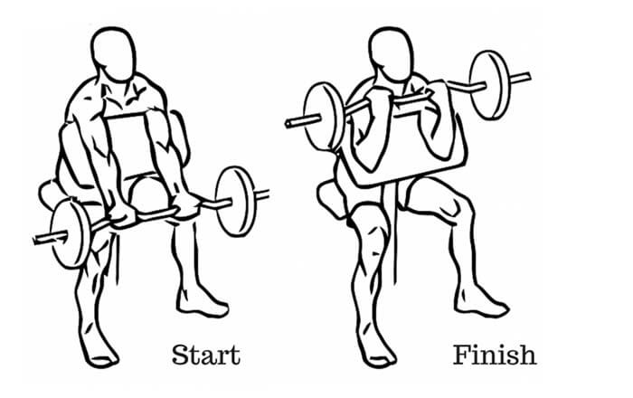 bicep long head and short head exercises