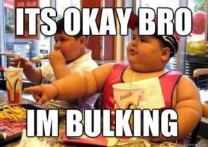 Bulking with junk food