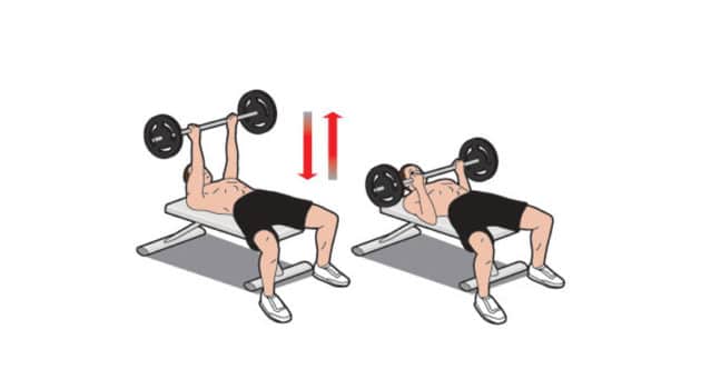 Reverse Grip Bench Press