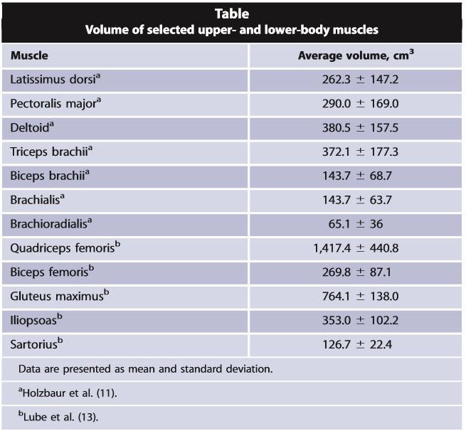 largest muscles 2