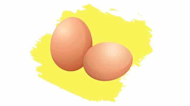 protein in 2 eggs