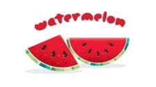 Net Carbs in Watermelon