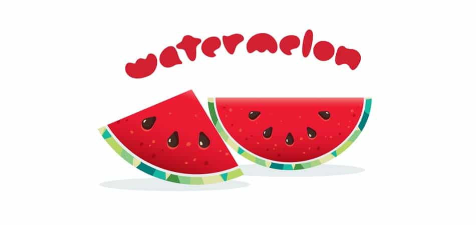 Net Carbs in Watermelon