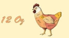 12 oz chicken breast protein