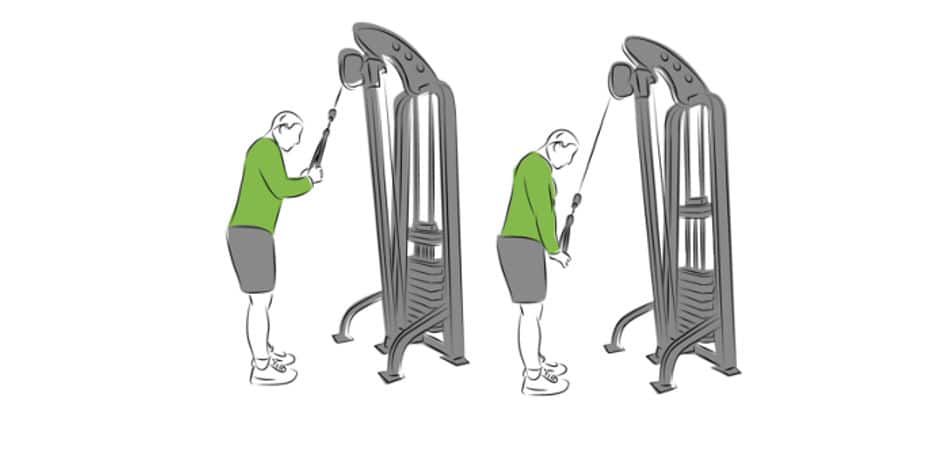 Triceps cable workout