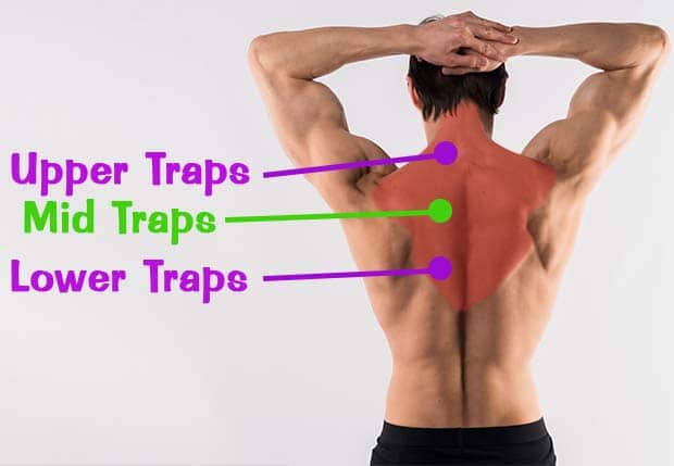 Middle hotsell trap workout